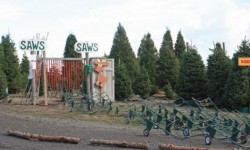 Frosty Mountain Tree Farm, Sebastopol