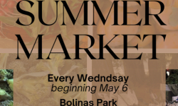 Fairfax Farmers Market, Bolinas Park