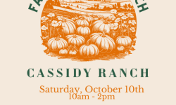 Fall Pumpkin Patch at Cassidy Ranch
