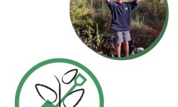 Habitat Restoration by Bon Tempe Lake