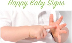 Baby Sign Language Introductory Workshop, Sprout Mill Valley