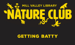 Nature Club – Getting Batty, Mill Valley Library