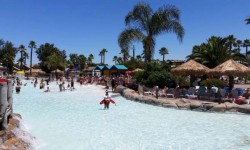 Hurricane Harbor, Concord