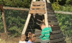 Marin Summer Camp Guide San Anselmo Marin Mommies