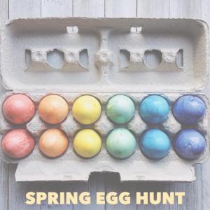 Egg carton with colored Easter eggs and "Spring Egg Hunt" text