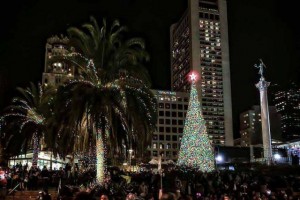 Union Square Macy's Great Holiday Tree