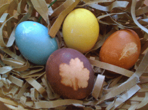 Family Program: Naturally Dyed Eggs, UC Botanical Garden at Berkeley