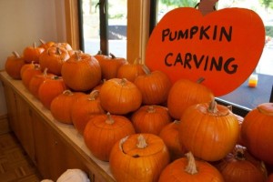 Marinwood Halloween Harvest Festival