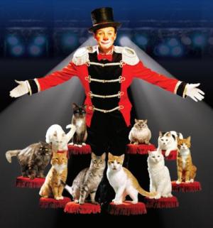 Circus showman in costume, surrounded by posing cats