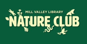 Nature Club – Celebrating Spiders, Mill Valley Library