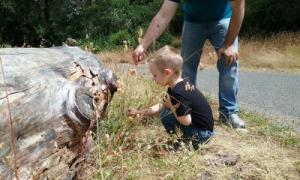 Family Adventure Day at Jack London State Historic Park