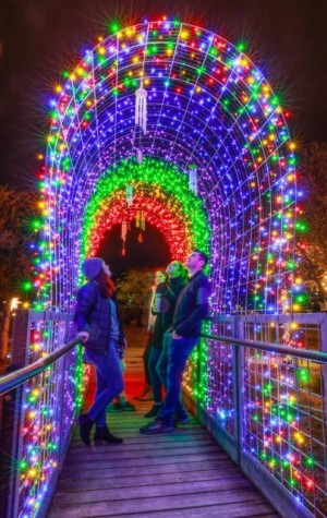 Holiday light arch