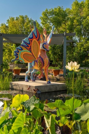 Sonoma Botanical Garden: Spirit Guides