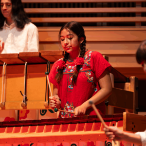 Free Family Day girl playing marimba