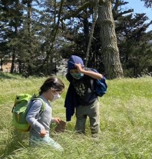 Bean Sprouts Family Days, San Francisco Botanical Garden