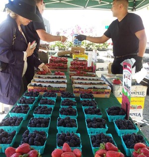 Strawberry Village Farmers Market, Mill Valley