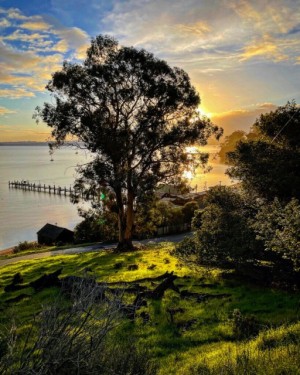 China Camp Sunrise