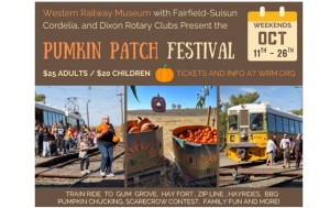 Pumpkin Patch Festival Western Railway Museum