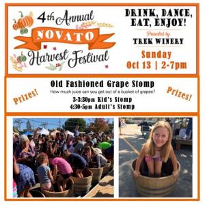 4th Annual Novato Harvest Festival