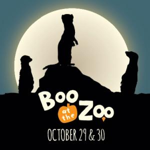 Boo at the Zoo, San Francisco Zoo