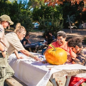 Kids carving jack-o-lanterns