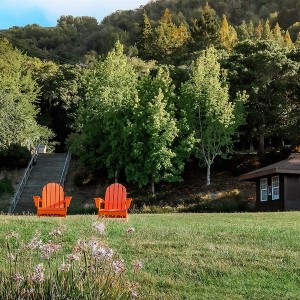 Paradise beach park view with trees and adirondack chairs