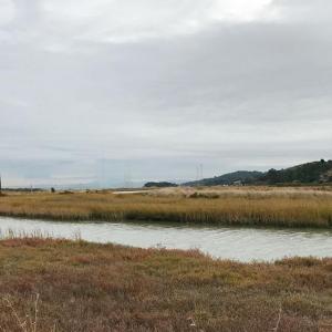 McInnis Park San Rafael