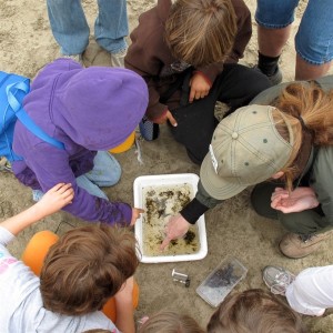 Kids exploring nature stuff at beach