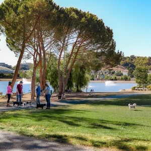 Lagoon Park San Rafael
