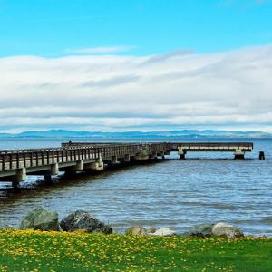 McNears Beach fishing pier San Rafael