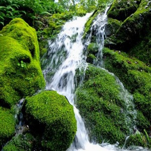 Waterfall over moss-covered stones