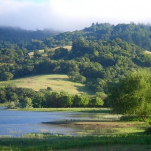 Stafford Lake Park Novato