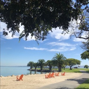 McNears Beach Park San Rafael