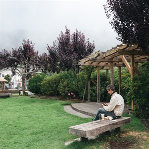 Person playing guitar on bench at park