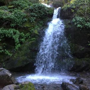 Buck Gulch waterfall Novato