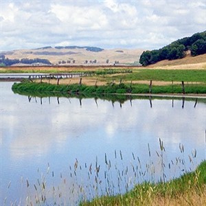 View of wetlands Rush Creek Preserve Novato