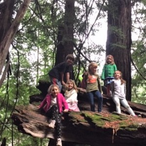 Indian Tree preserve family walk
