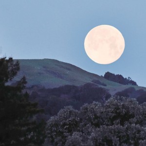 Super Blue Moon at Stafford Lake Park