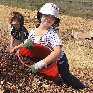 Restoration at Hal Brown Park, Kentfield