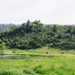 San Geronimo park landscape view