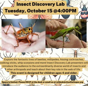 Insect Discovery Lab, Larkspur Library