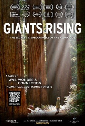Giants Rising poster