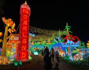 Glowfari at Oakland Zoo