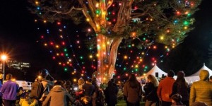 McLaren Lodge Holiday Tree Lighting