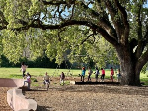 Marin Waldorf School