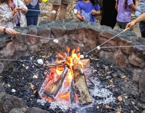 Campfire