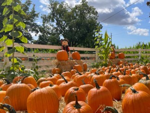 Muelrath Ranches Pumpkin Patch