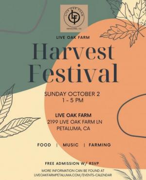 Harvest Festival Flyer