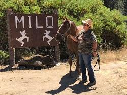 Milo Foundation Horse Fundraiser