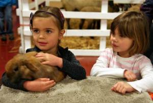 Farm Day, Marin Center in San Rafael